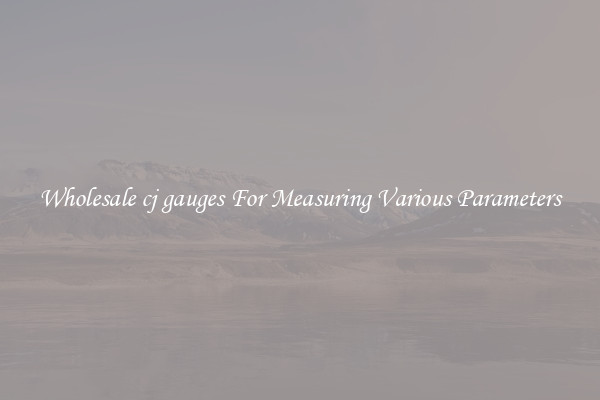 Wholesale cj gauges For Measuring Various Parameters