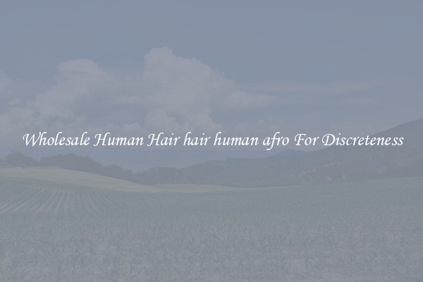 Wholesale Human Hair hair human afro For Discreteness
