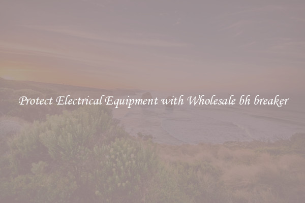 Protect Electrical Equipment with Wholesale bh breaker