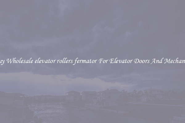 Buy Wholesale elevator rollers fermator For Elevator Doors And Mechanics