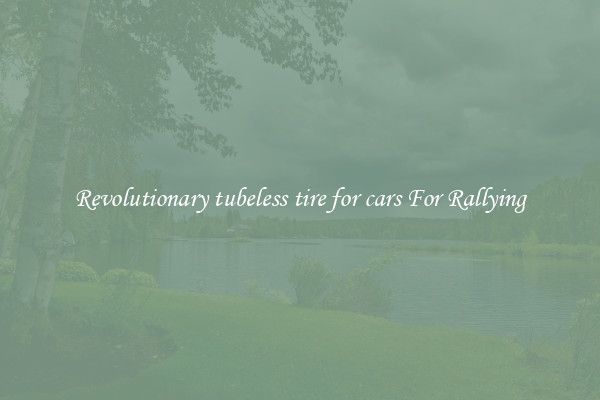 Revolutionary tubeless tire for cars For Rallying