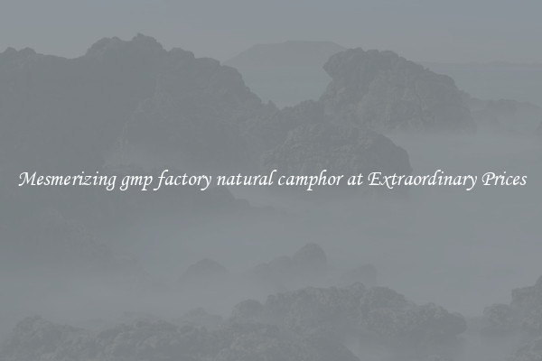 Mesmerizing gmp factory natural camphor at Extraordinary Prices