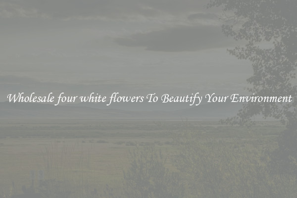 Wholesale four white flowers To Beautify Your Environment