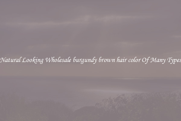 Natural Looking Wholesale burgundy brown hair color Of Many Types