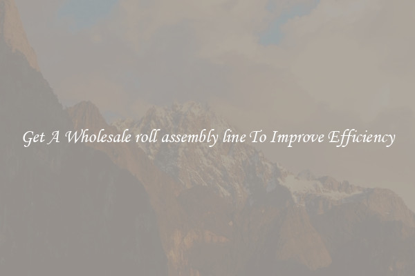 Get A Wholesale roll assembly line To Improve Efficiency