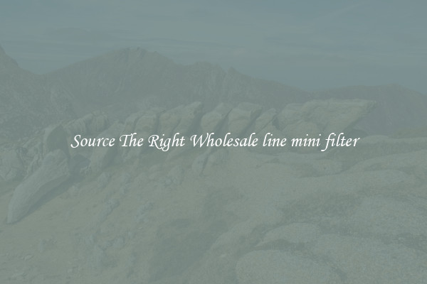 Source The Right Wholesale line mini filter