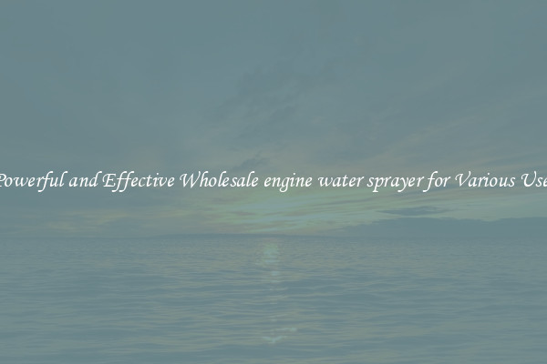 Powerful and Effective Wholesale engine water sprayer for Various Uses
