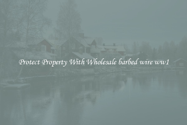 Protect Property With Wholesale barbed wire ww1