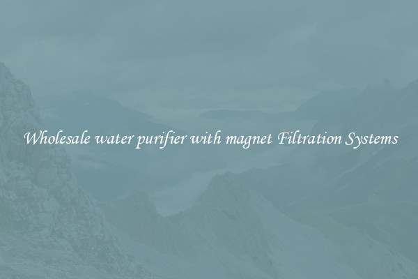 Wholesale water purifier with magnet Filtration Systems