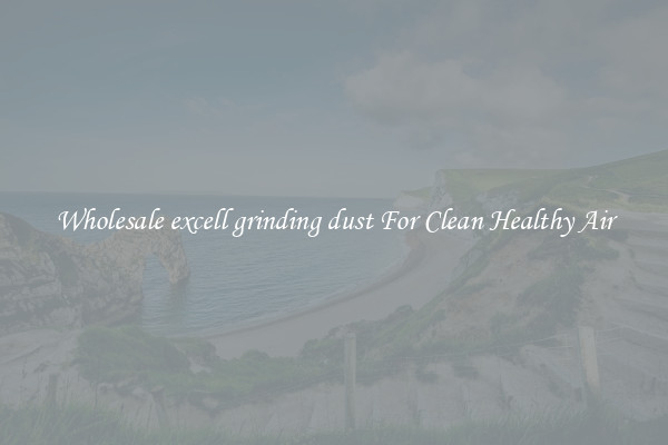 Wholesale excell grinding dust For Clean Healthy Air