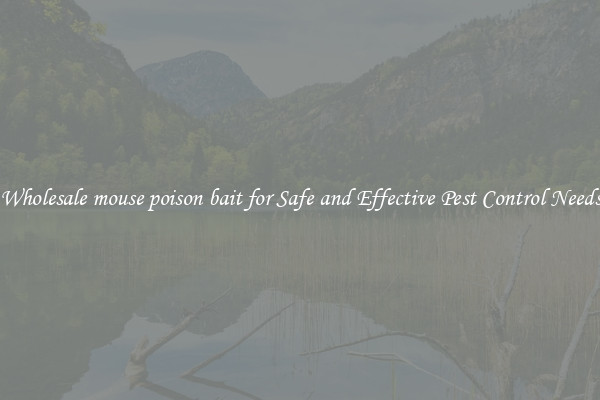 Wholesale mouse poison bait for Safe and Effective Pest Control Needs